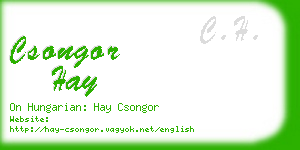 csongor hay business card